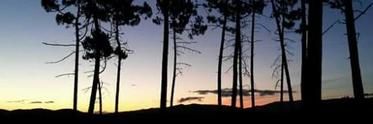 la_praline78's profile banner image