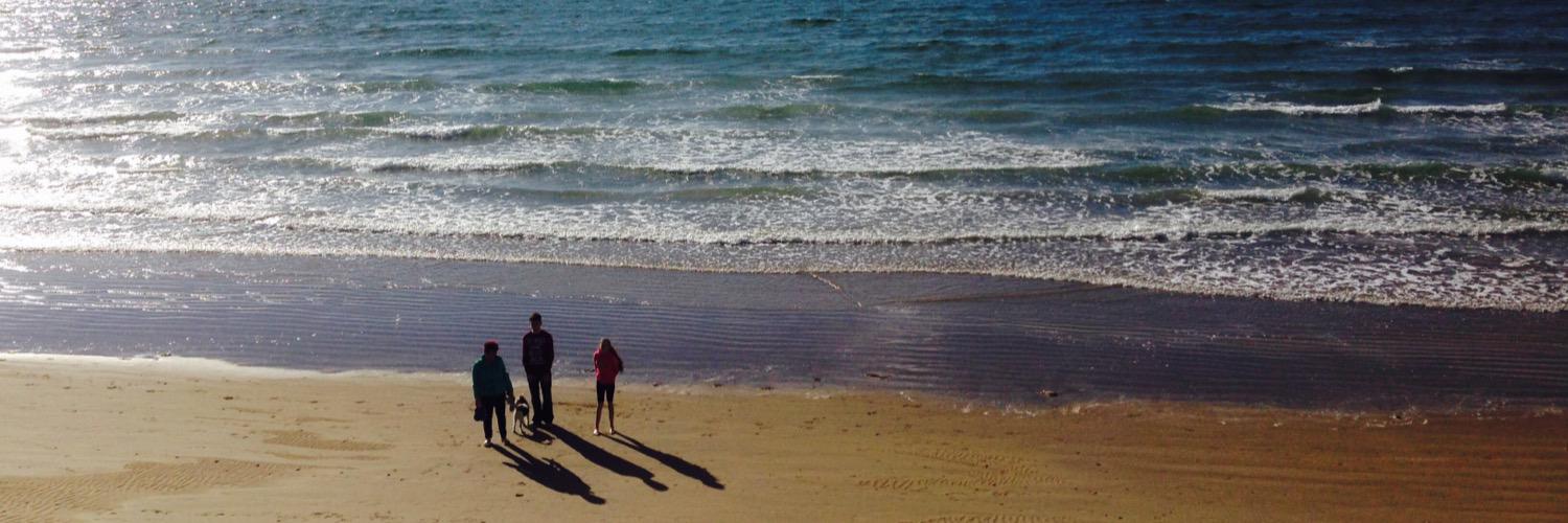 Michael Weldon banner