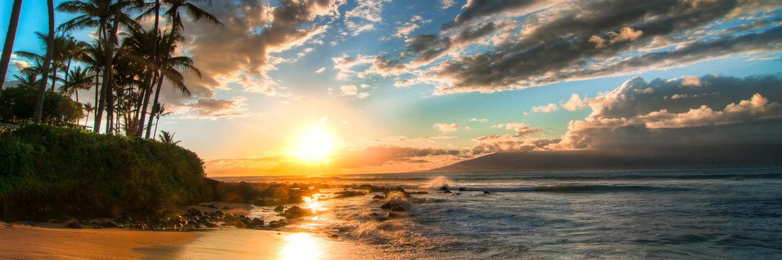 Patrick Nealis banner