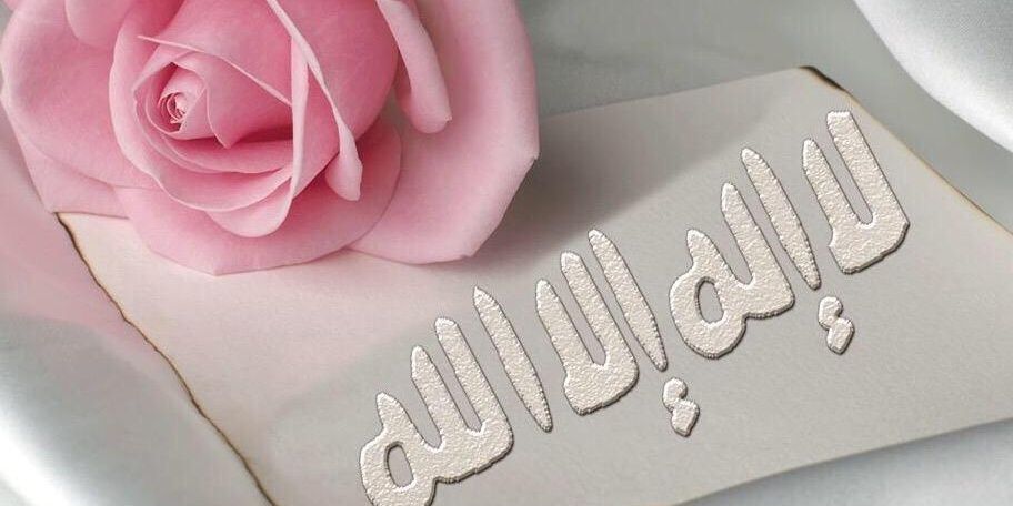 among123gmailc1's profile banner image