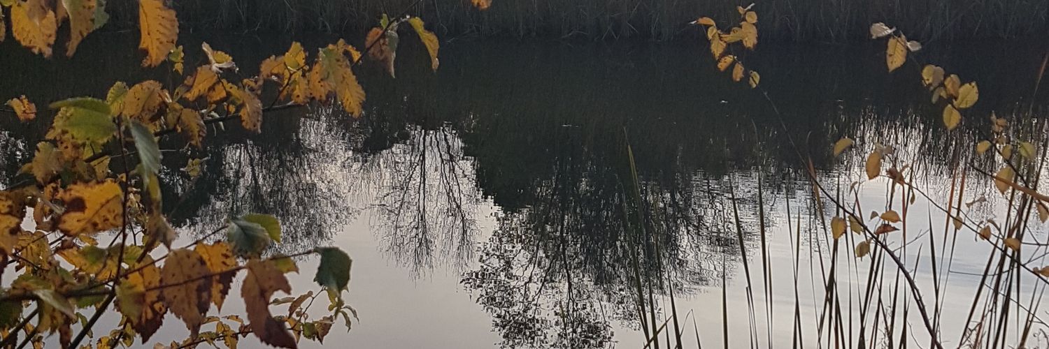 BagAlmo's profile banner image