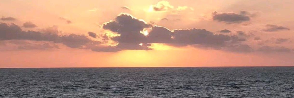 Mxrta_99's profile banner image