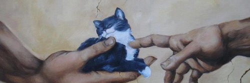 antschelahr's profile banner image
