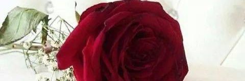 mayf112233's profile banner image