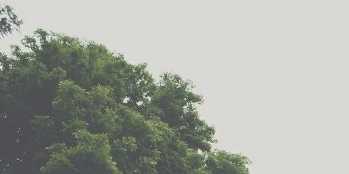 camscondidas's profile banner image