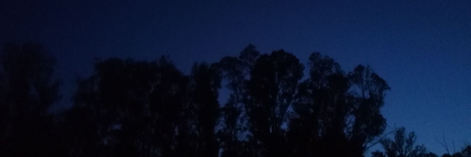 carlossferrer_'s profile banner image