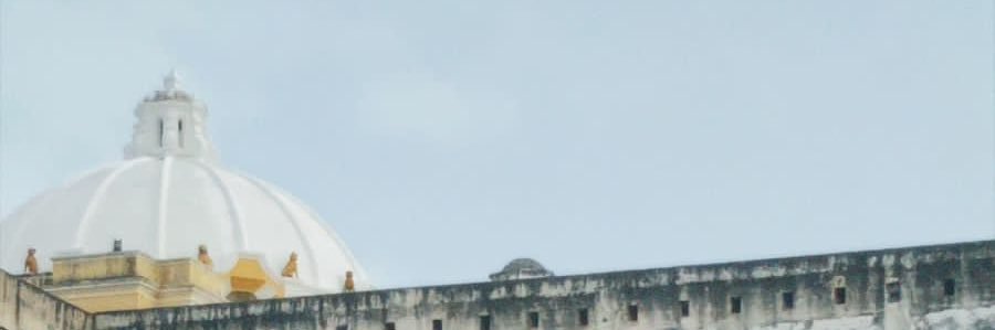 michelleciroa's profile banner image