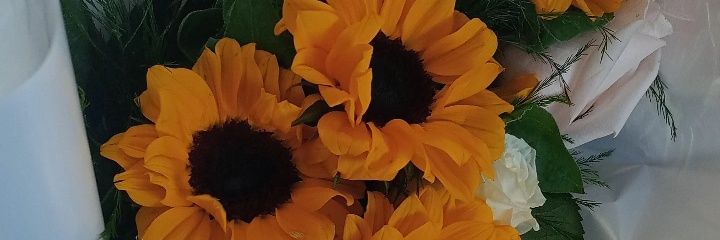 Lele 🇦🇷 banner