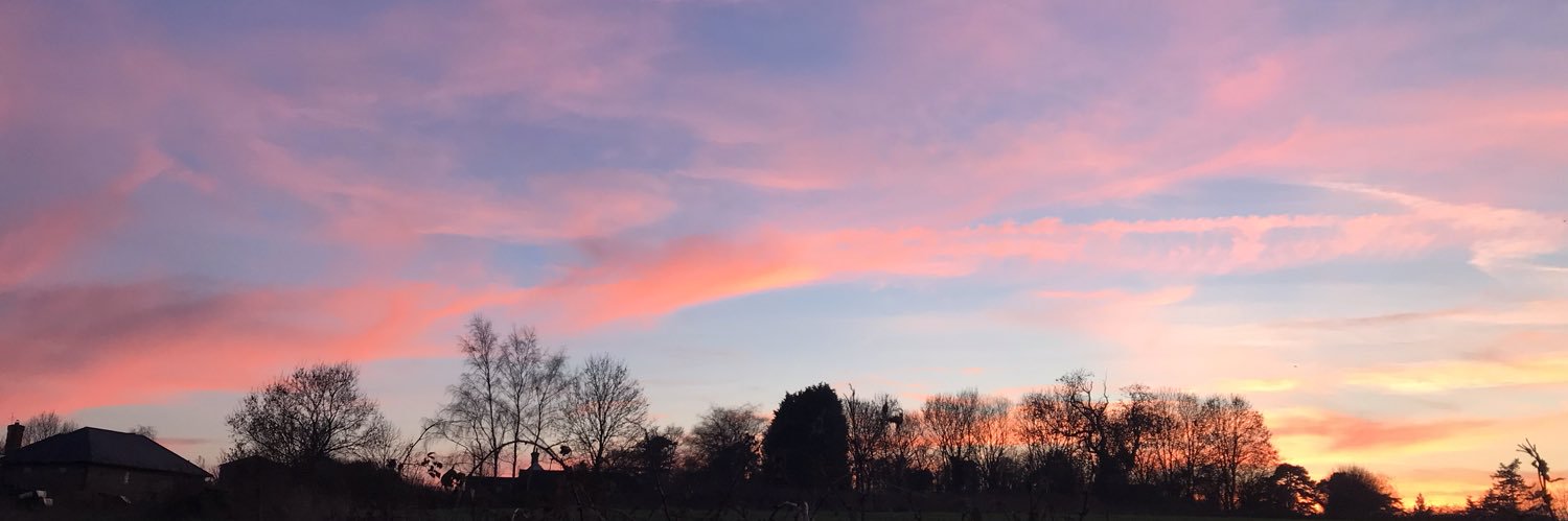 Bernard Quinn banner