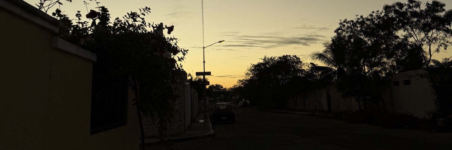 luisCL1's profile banner image