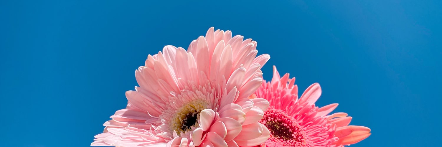 carmigueel's profile banner image