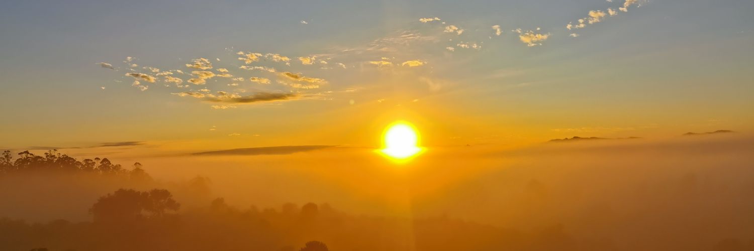 David__Guisolfo's profile banner image