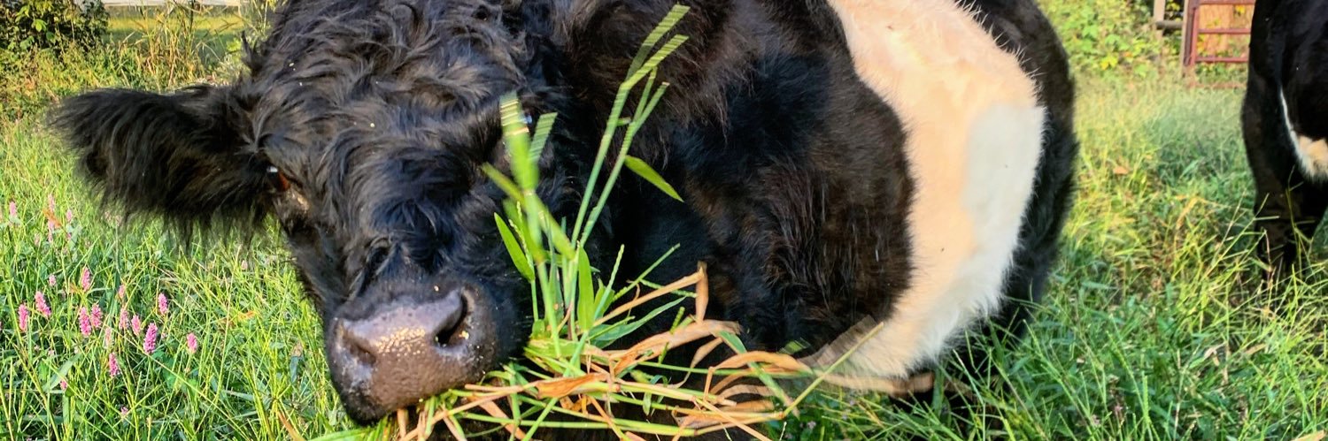 farmnerd's profile banner image