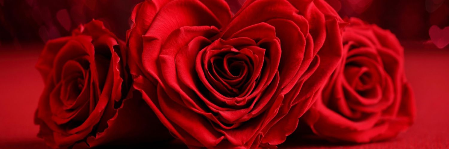 kqk7pc's profile banner image