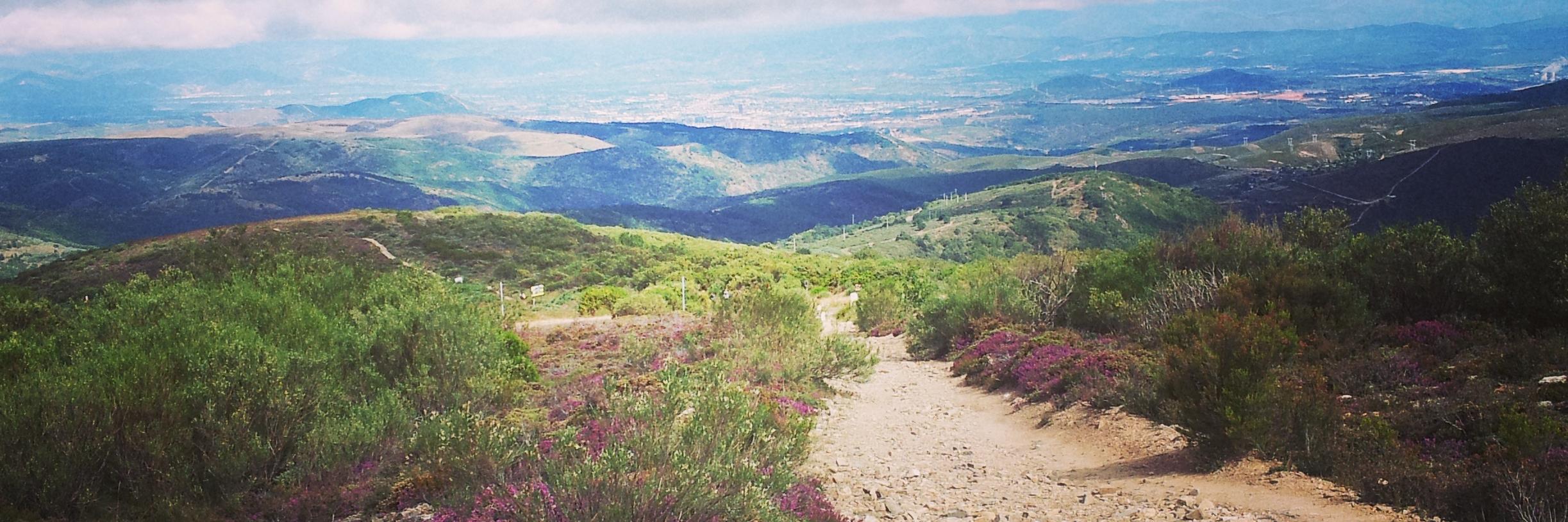 GeorgiaLeavitt's profile banner image