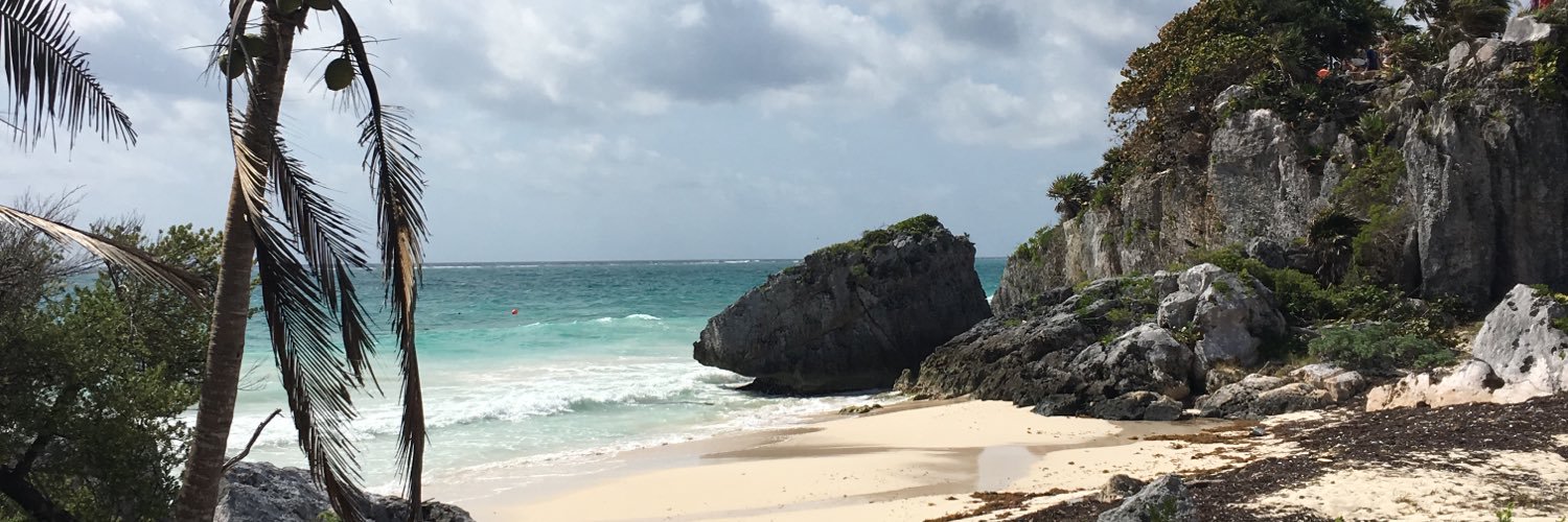 schimmperry's profile banner image