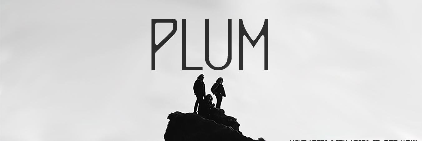 plum_official's profile banner image