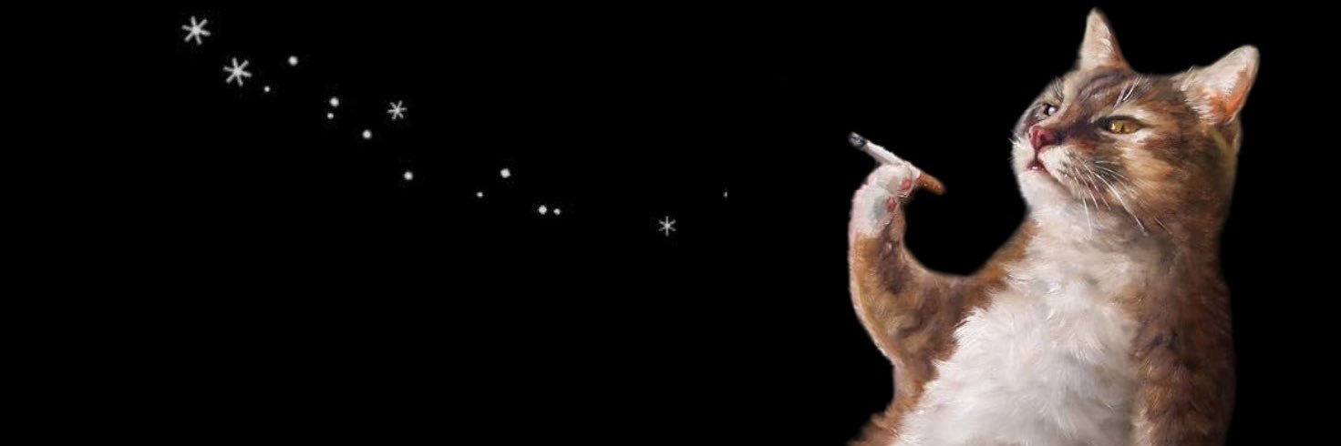 AgusAngueira's profile banner image
