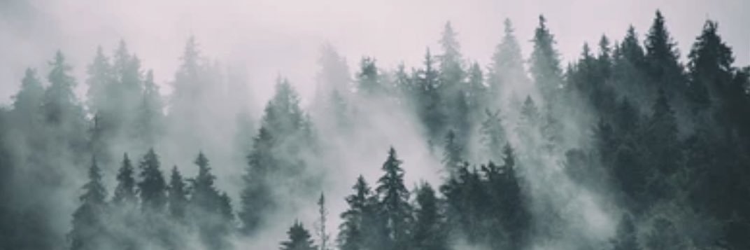 themoment767's profile banner image