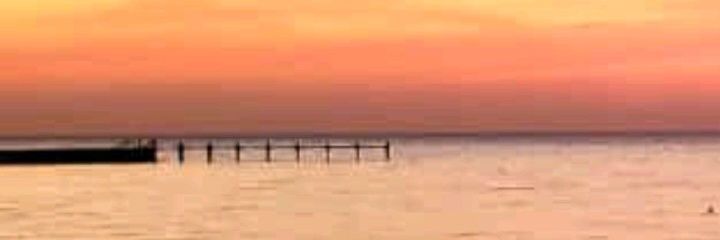 mac_sammo's profile banner image