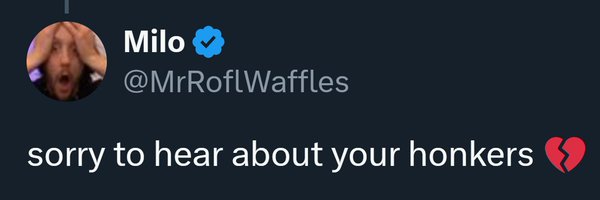 WeebraCat Profile Banner