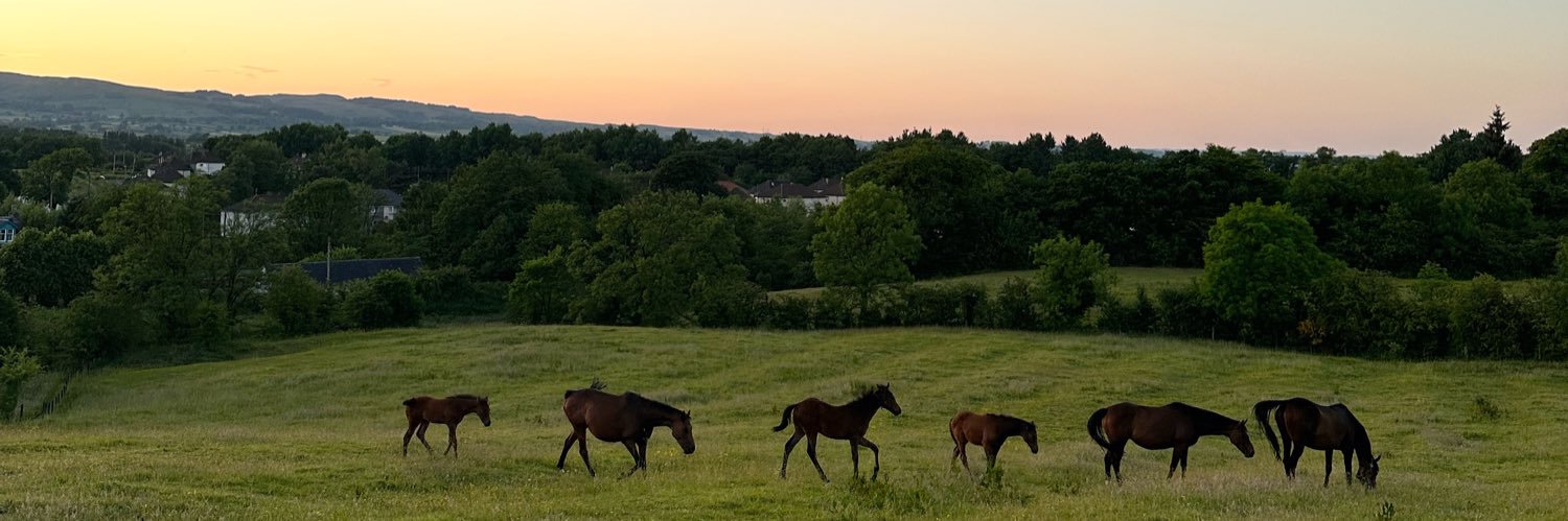 SidehouseStud's profile banner image
