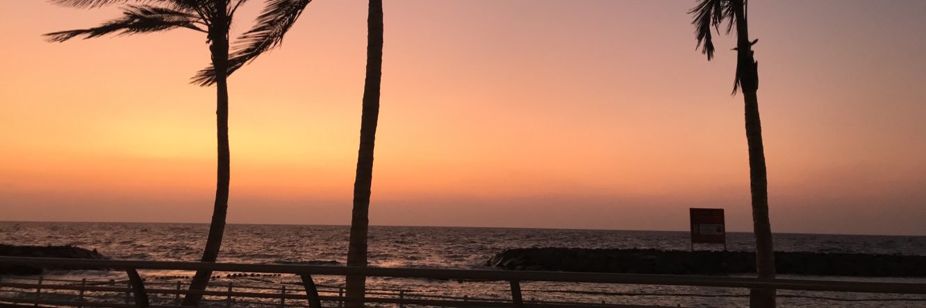 Arwa_An's profile banner image