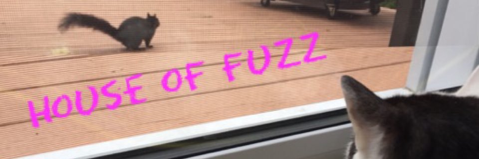 HouseofFuzz's profile banner image