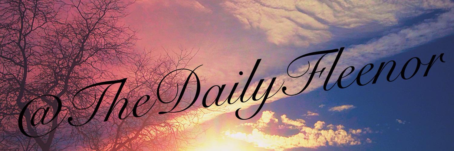 TheDailyFleenor's profile banner image