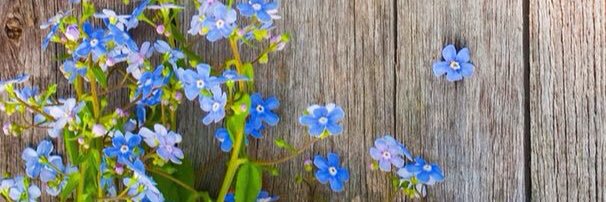 magic_madnes's profile banner image