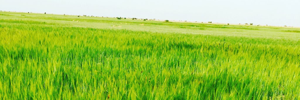 JA111122's profile banner image