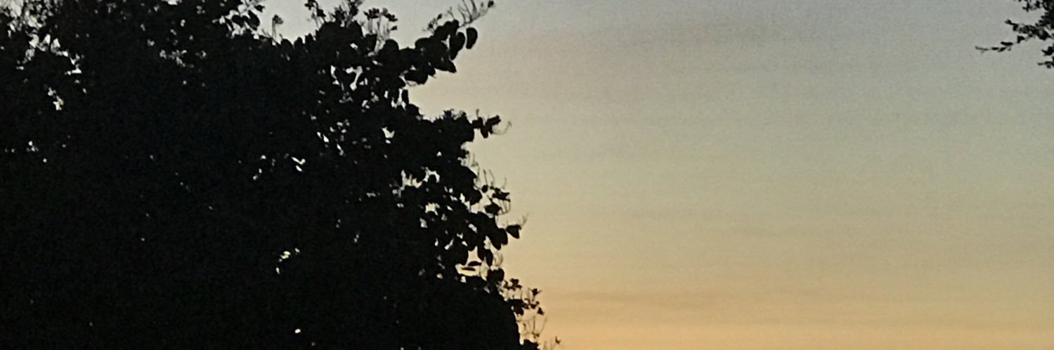 eduard2801's profile banner image