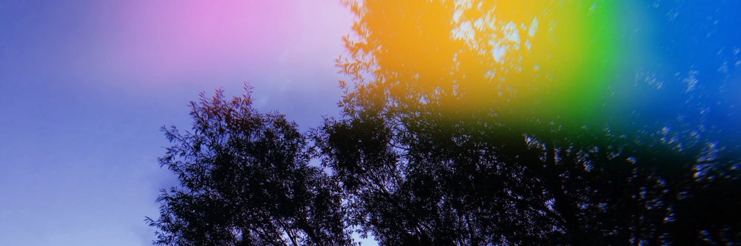cyxnskies's profile banner image
