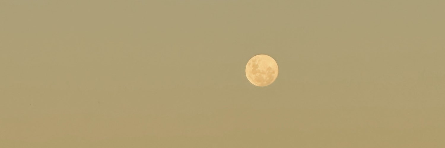 candeladahlgren's profile banner image