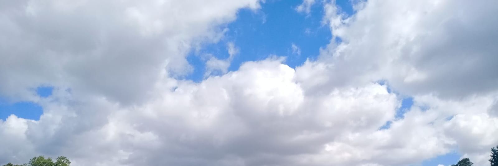AlmasTalib's profile banner image