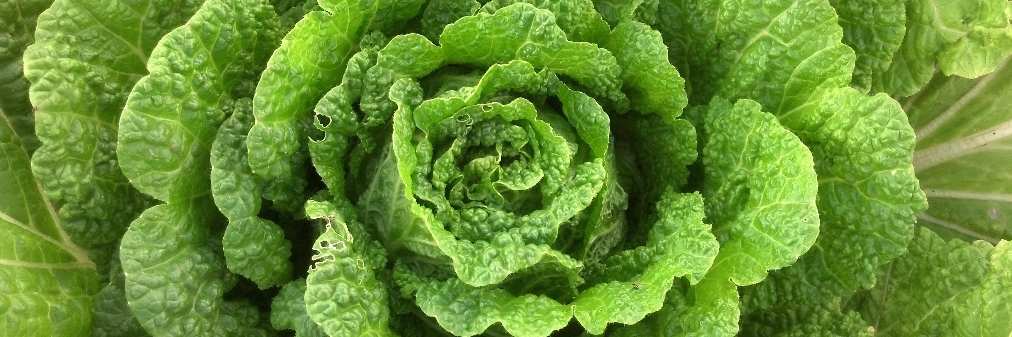BoulderCountyAG's profile banner image