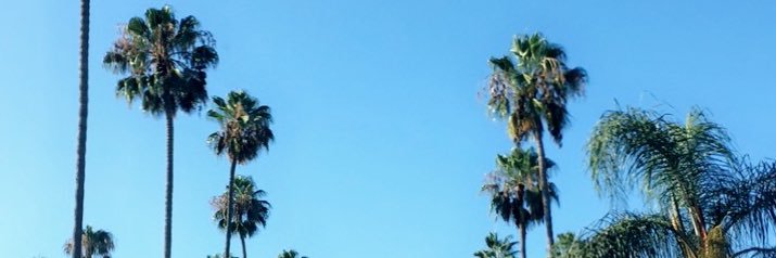 MashellSD's profile banner image