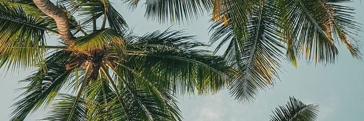 Valentinaleivao's profile banner image