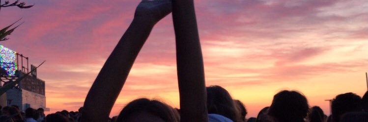 sofioppenheimer's profile banner image