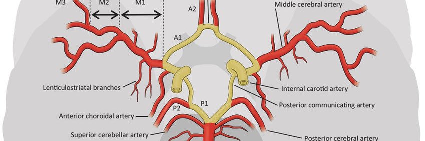 ♣️||doctorstrange||♠️ banner