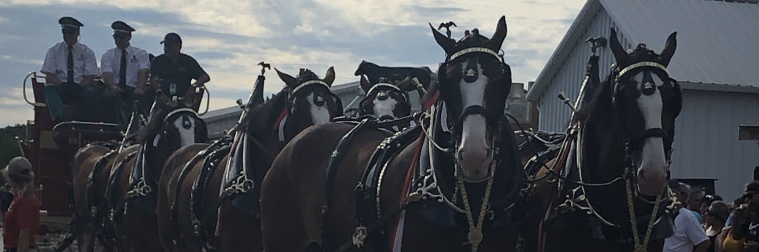 21erasmussen's profile banner image