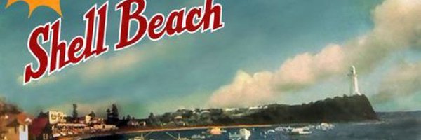 SwiftSolves Profile Banner