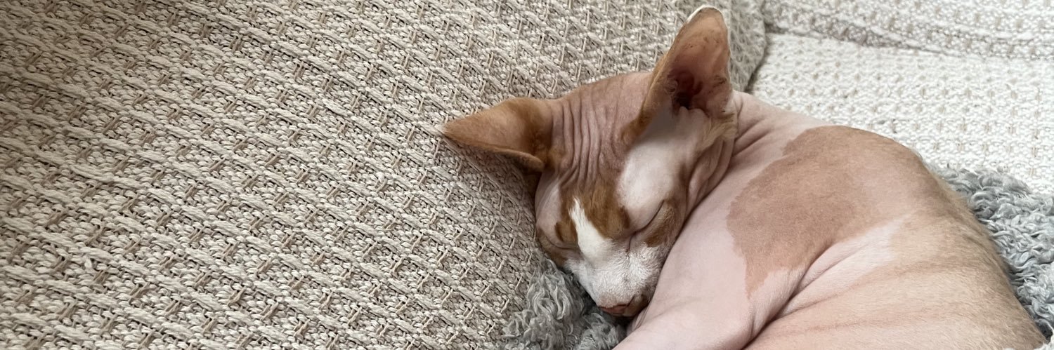 ethan_041's profile banner image