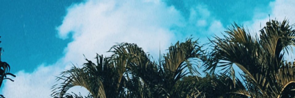 geena_singa's profile banner image