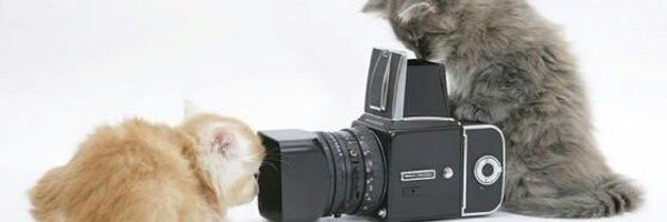 SeansBored Profile Banner