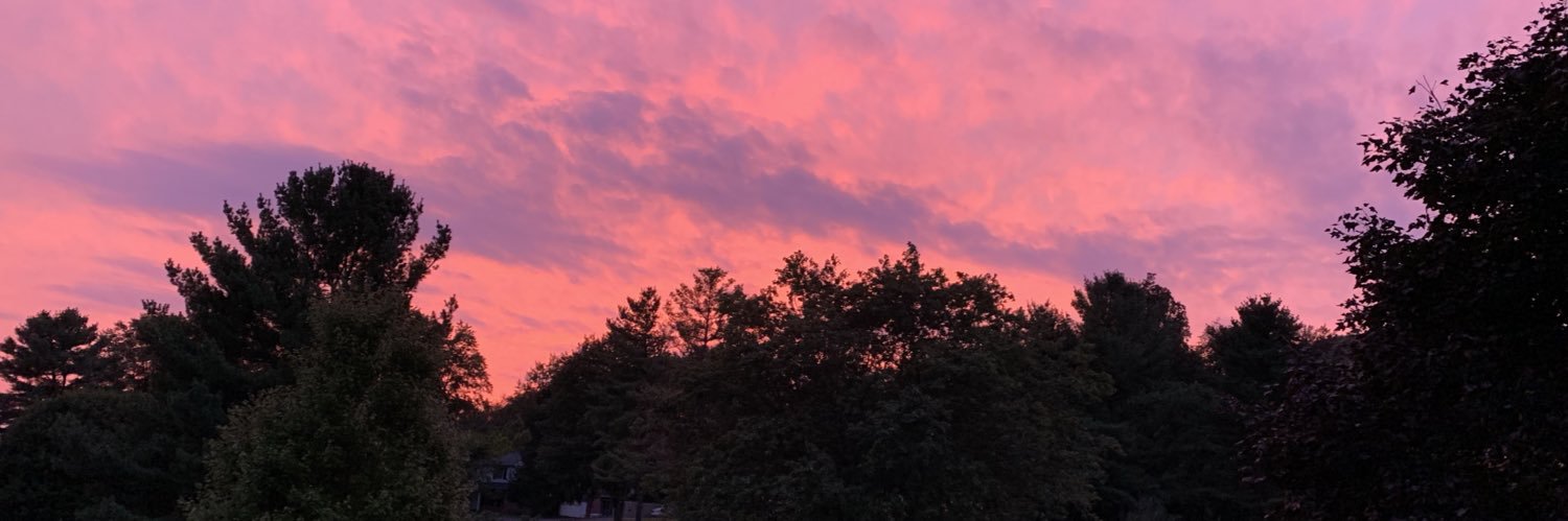 Alanna Volatile banner