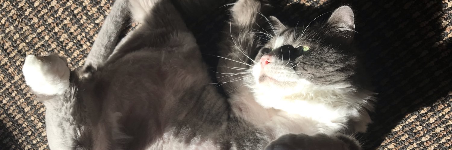 PFilisky's profile banner image