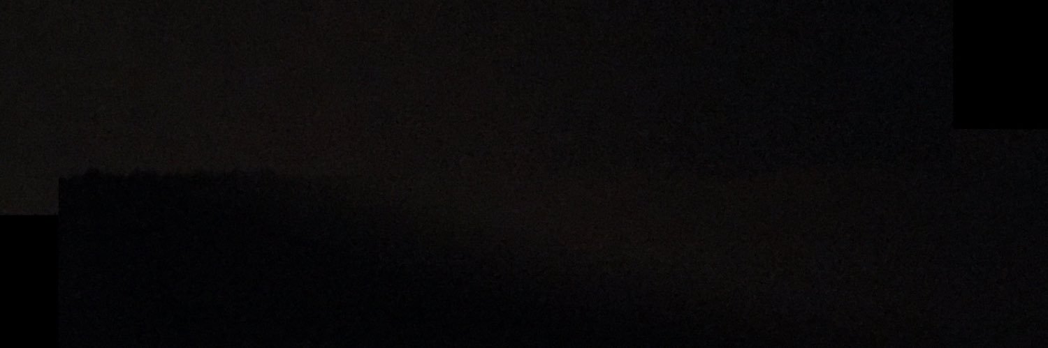 tigerthompson6's profile banner image