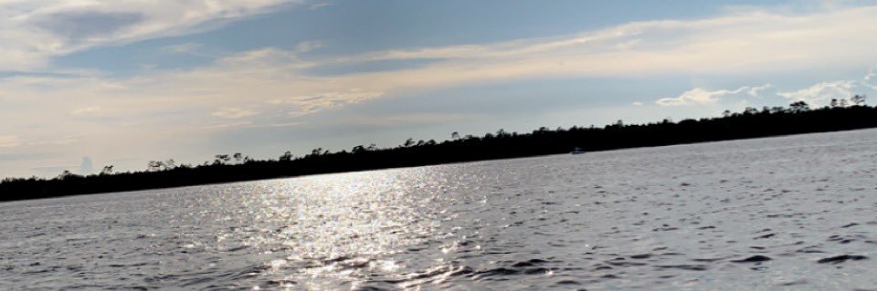 wklowery's profile banner image