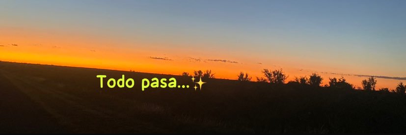 Mica🇦🇷🦋 banner